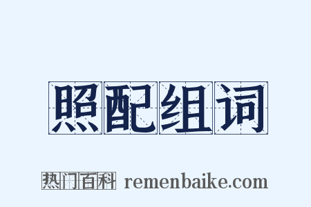 照配组词是什么意思的图片